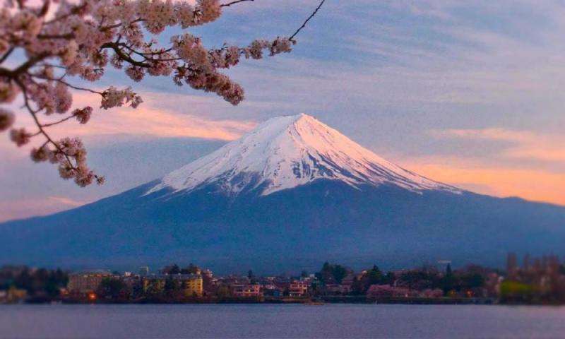  日本房產(chǎn)中介